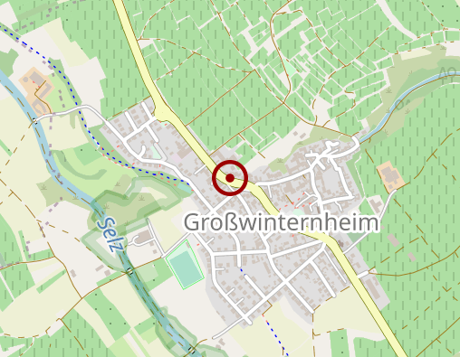 Karte: Naturheilpraxis Ingelheim