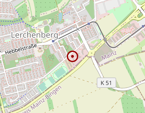 Karte: Berufsförderungswerk Mainz Zentrum für PhysikalischeTerapie gemeinnützige GmbH