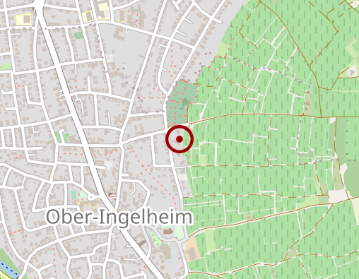 Karte: Institut für Bewegungstherapie GmbH