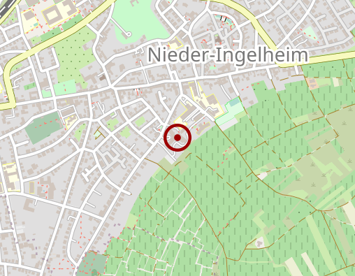 Karte: Krankenhaus Ingelheim der Universitätsmedizin Mainz gGmbH