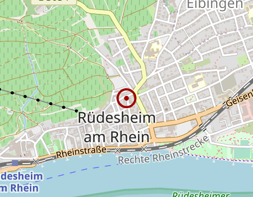 Karte: Naturheilpraxis Rüdesheim