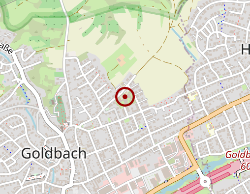 Karte: Seniorenwohnen Goldbach