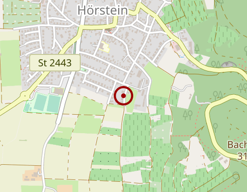 Karte: Waldmann Christiane Heilpraktikerin