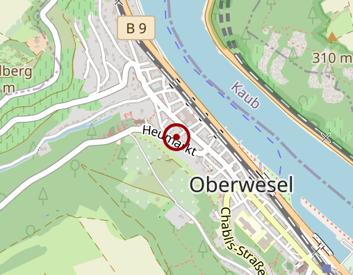 Karte: Loreley Seniorenzentrum Oberwesel