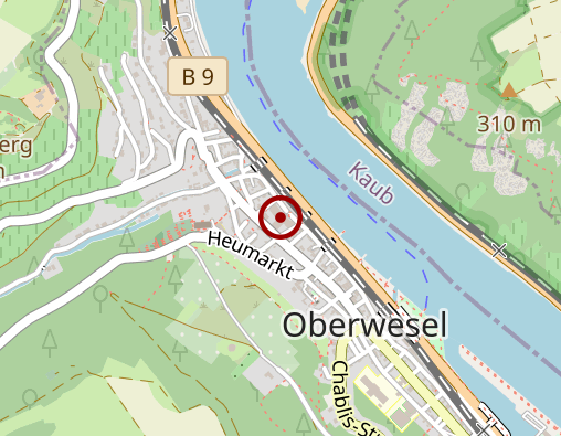 Karte: Loreley Kliniken St. Goar-Oberwesel