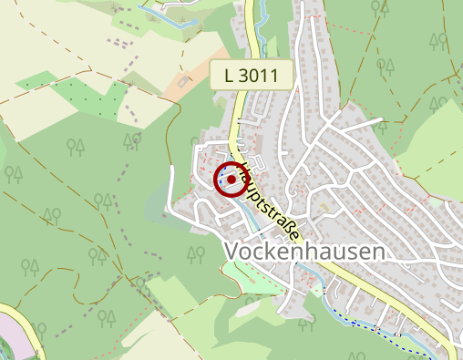 Karte: Spar Car Eppstein