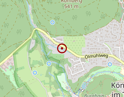 Karte: Bassewitz Anemone Gräfin von