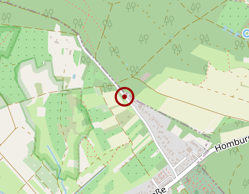 Karte: Sommer Alexa Dipl.oec.troph.