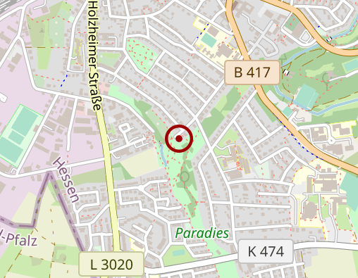 Karte: Ambulanter Pflegedienst Lenus - Inh. Elena Tapina