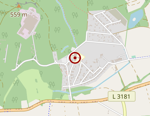 Karte: Institut Fendel T. u. A. Amberg GmbH