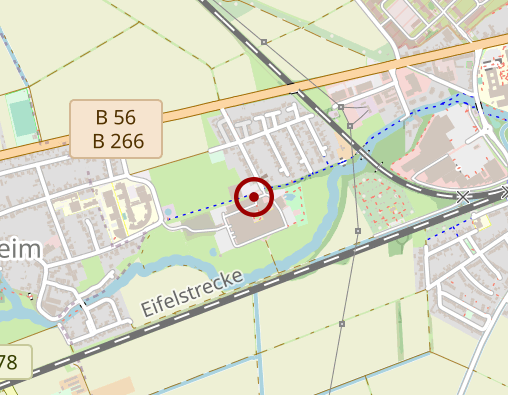 Karte: Schmerztherapie Lisa Thomas