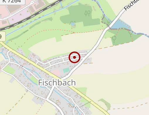 Karte: Puhle Angelika Taxi