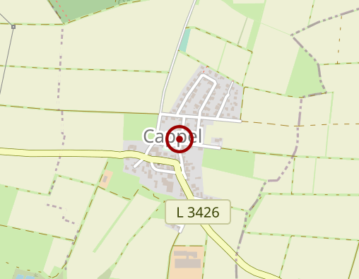 Karte: Belzer Manfred Dipl.-Supervisor