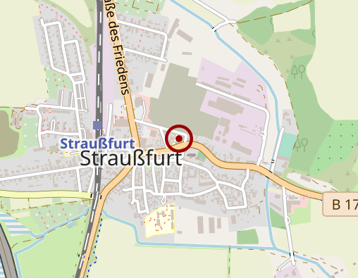 Karte: Pflegebienen GmbH