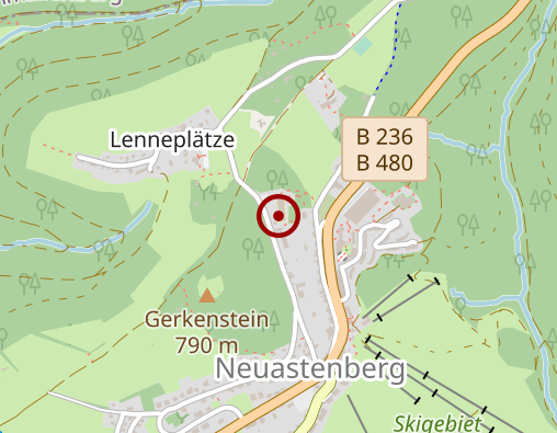 Karte: Alten- und Pflegeheim "Haus Waldesruh"