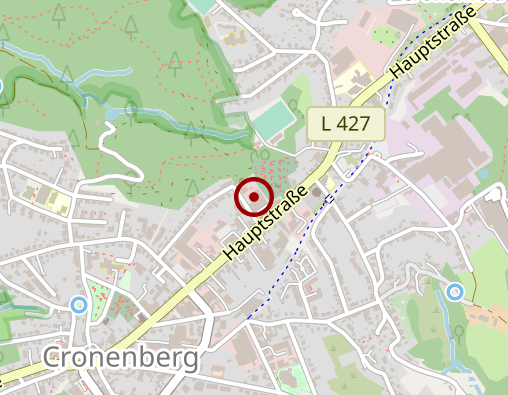 Karte: Lebenshilfe Werkstätten f. Behinderte gGmbH Behindertenwerkstatt