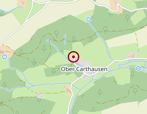 Karte: Braun Regina Dipl.Psychologin