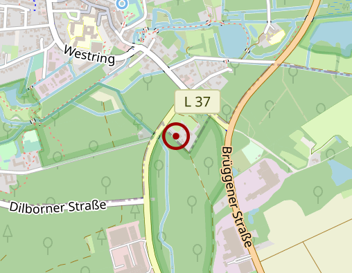 Karte: Brigitte Wermke Homöopathie