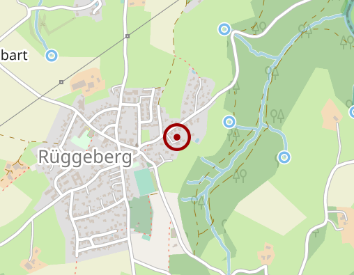 Karte: Born-Maijer Cornelia Heilpraktikerin für Psychotherapie