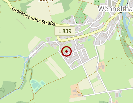 Karte: Palme Rafaela