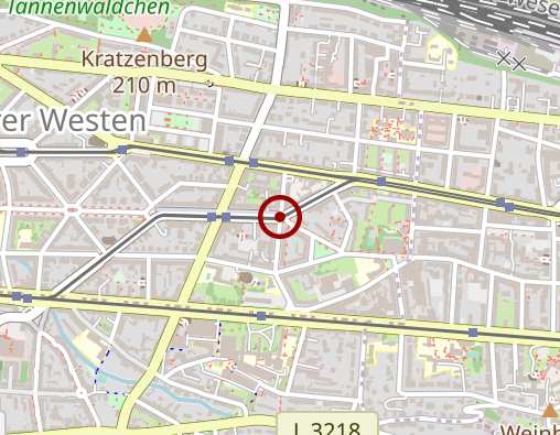 Karte: Froelich Jutta Dr.med & Froelich Dethart Dr.med.