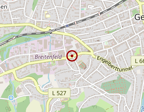 Karte: Ring Sabine Physiotherapeutin