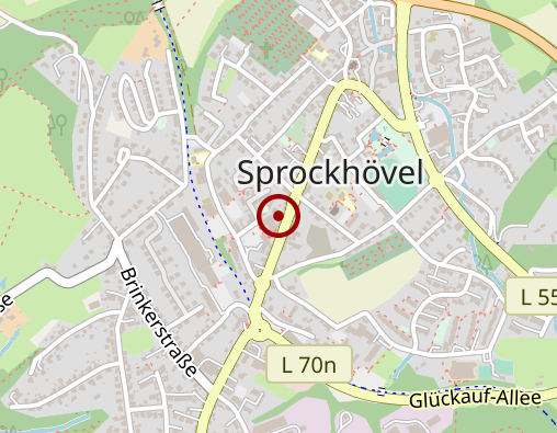 Karte: Bolz Dr. Fachübergreifende Gemeinschaftspraxis Ärzte für Allgemeinmedizin, Carmann Dr.