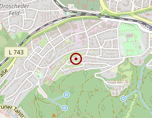 Karte: Physiotherapie für Pferde - Maren Schulte