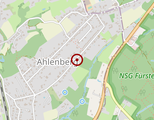 Karte: Haupt Brigitte Heilpraktikerin f. Psychotherapie