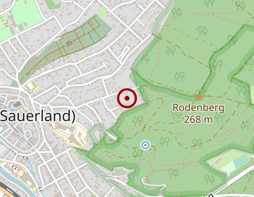 Karte: Taxivereinigung in Menden