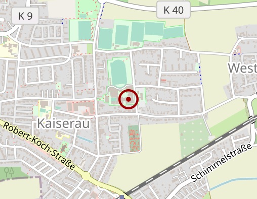 Karte: Kanevski Marat Dr.med.