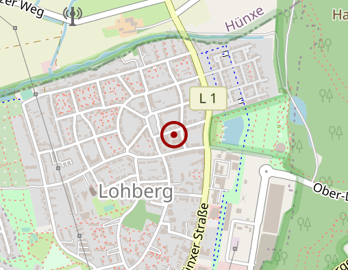 Karte: Unterstützungsleistungen im Alltag für Menschen mit geistiger und/oder körperlicher Behinderung