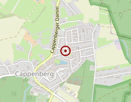 Karte: Pflegedienst Ricono