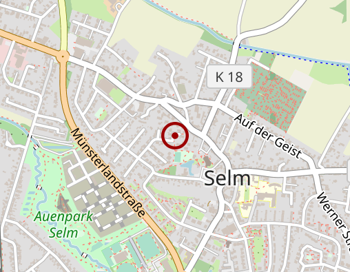 Karte: Steinkamp Günter Massage und Krankengymnastik