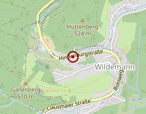 Karte: Alten- und Pflegeheim Wildemann Wohnheim für psych. Kranke