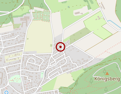 Karte: Fussgänger Theodor