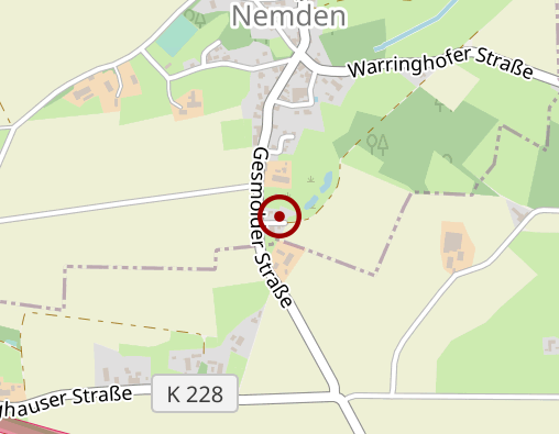 Karte: Nintemann Bene