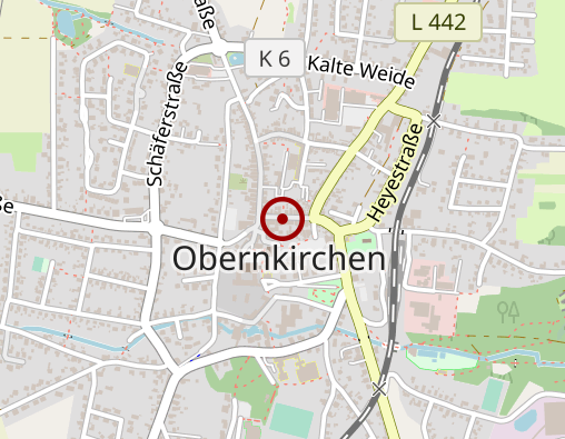 Karte: Taxi Buchholz GmbH