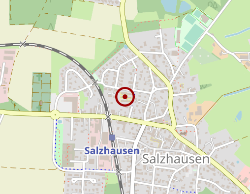 Karte: Seniorentagespflege Salzhausen