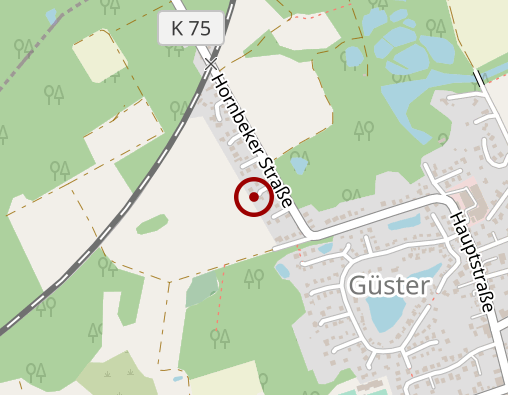 Karte: Taxenbetrieb Lichtenberg