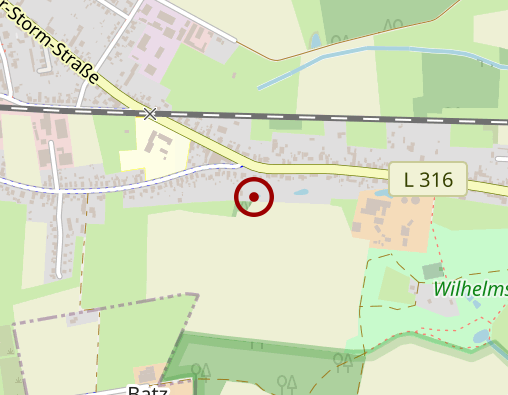 Karte: Physioteam Buer Sven