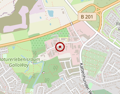 Karte: Schleswiger Werkstätten Behindertenwerkstätte