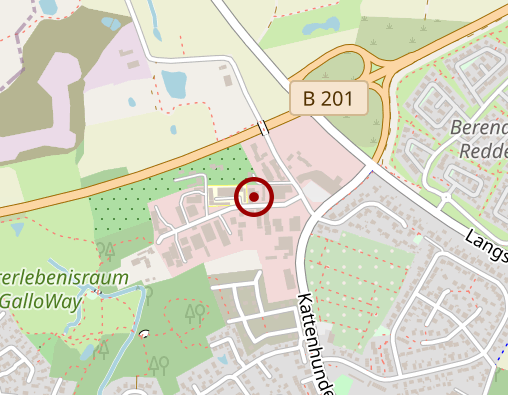 Karte: Schleswiger Werkstätten Behindertenwerkstätten