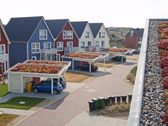 Mit Dachbegrünungen können Hausbesitzer einen Ausgleich zur Verdichtung schaffen