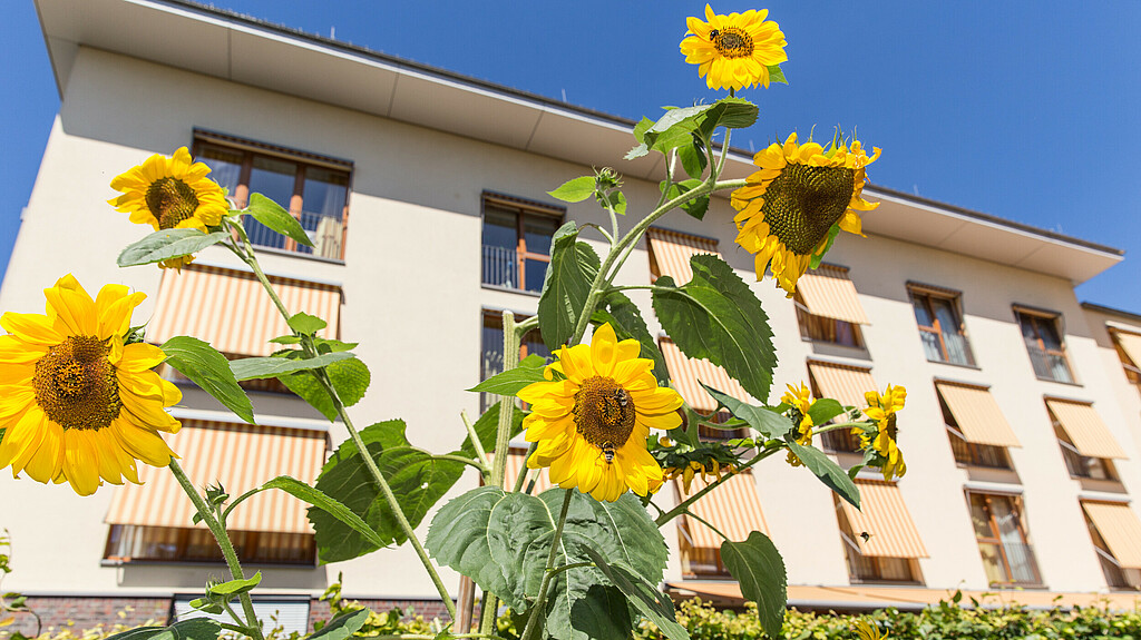 St. Elisabeth Pflege und Wohnen