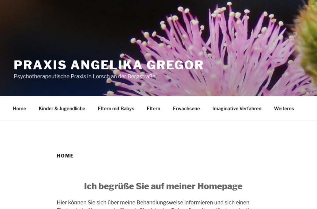 Praxis für Kinder- und Jugendlichenpsychotherapie sowie Eltern-Säuglings-Kleinkindpsychotherapie