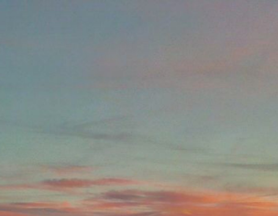 Praxis daomed Karen Mansesen