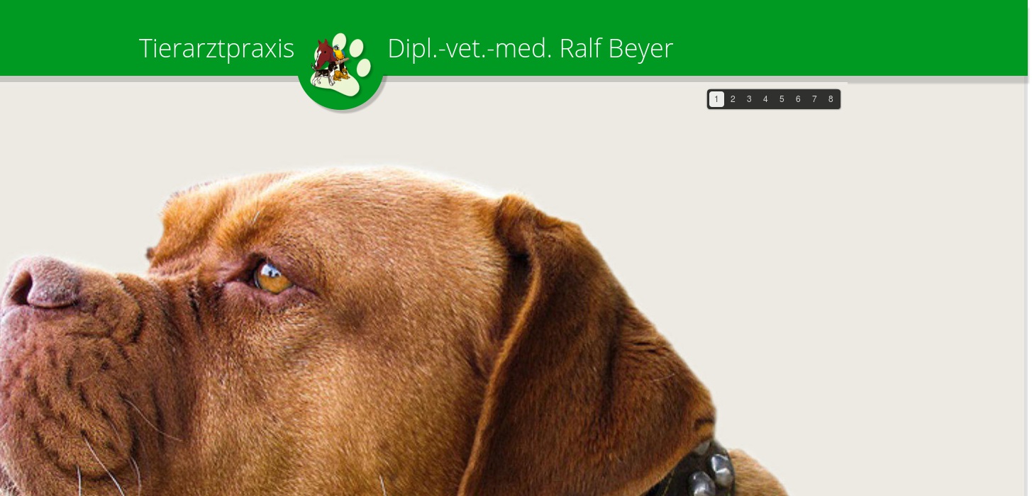 Beyer Ralf Dipl. Vet. Med.
