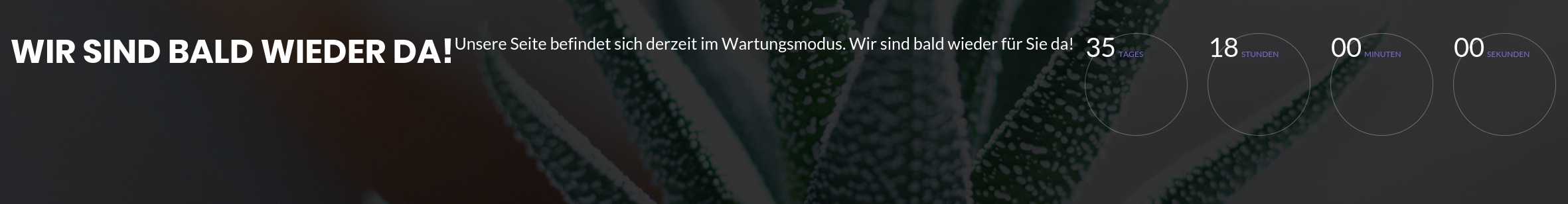 Therapie Aktiv Inh. Marianne Pohl