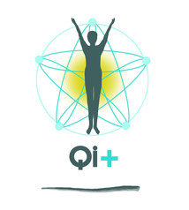 Logo: Qi+